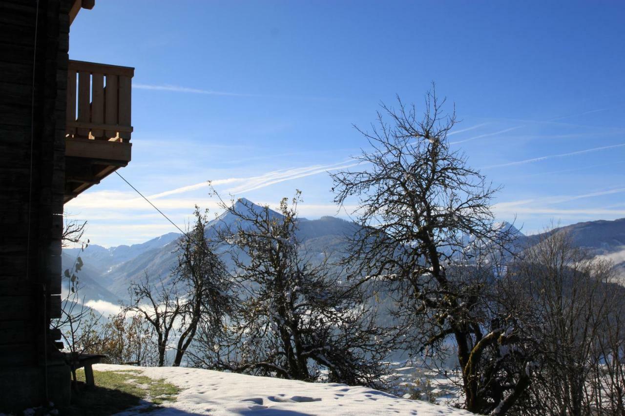 Apartment Poetzelberghof Altenmarkt im Pongau Dış mekan fotoğraf