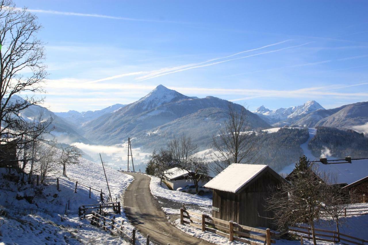 Apartment Poetzelberghof Altenmarkt im Pongau Dış mekan fotoğraf