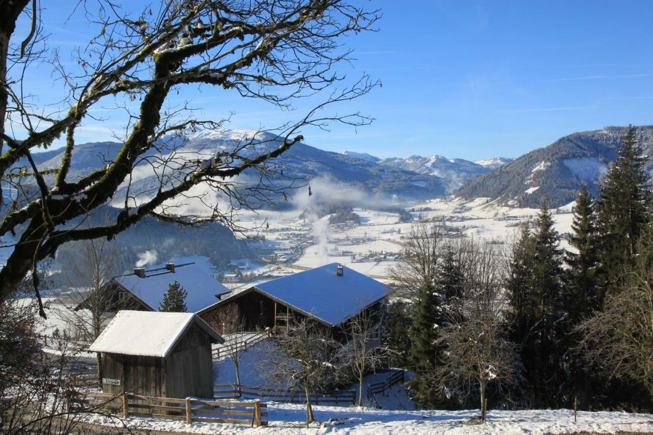Apartment Poetzelberghof Altenmarkt im Pongau Dış mekan fotoğraf